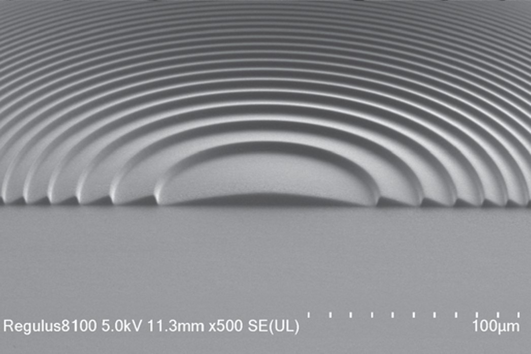 Surface Area & Pore Size Distribution